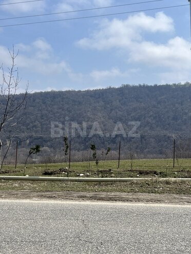 Satılır  torpaq 24 sot, photo 4 from 9