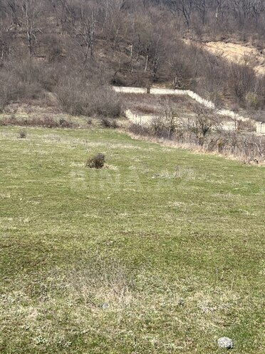 Satılır  torpaq 24 sot, photo 3 from 9