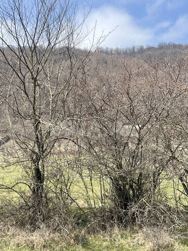 Satılır  torpaq 24 sot, photo 6 from 9