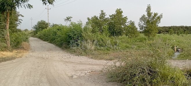 Продаётся  участок 1.2 сот, photo 12 from 13