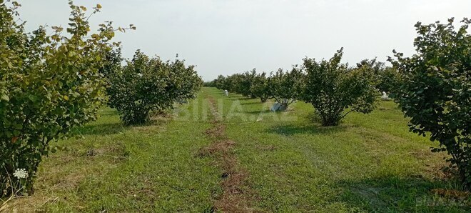 Продаётся  участок 1.2 сот, photo 5 from 13