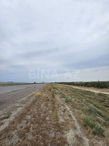 Продаётся  участок 2 000 сот, пос. Аляты, photo 13 from 16