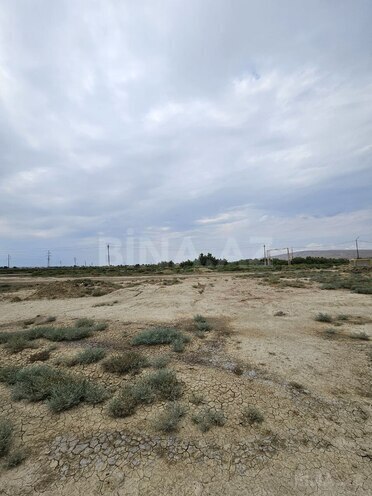 Продаётся  участок 2 000 сот, пос. Аляты, photo 12 from 16