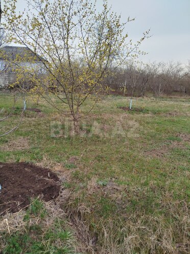 Продаётся  участок 20 сот, Хачмазский р., photo 4 from 6