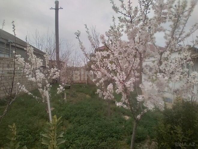 Satılır 3 otaqlı həyət evi/bağ evi 60 m², Buzovna q., photo 3 from 15