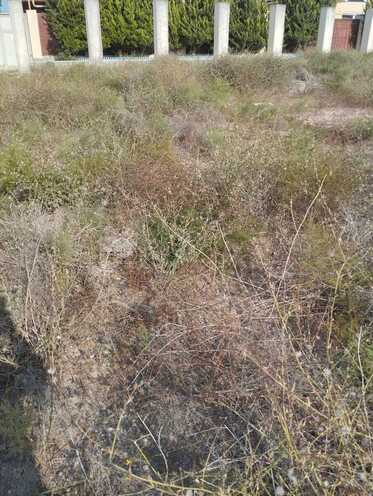 Satılır  torpaq 2 sot, Əhmədli m., photo 7 from 9