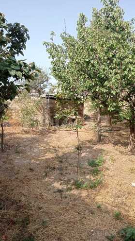 Satılır 3 otaqlı həyət evi/bağ evi 117 m², Qala q., photo 18 from 32