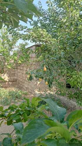 Satılır 3 otaqlı həyət evi/bağ evi 117 m², Qala q., photo 25 from 32