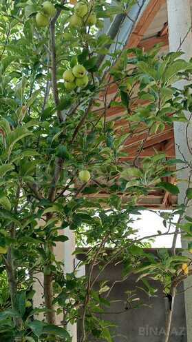 Satılır 3 otaqlı həyət evi/bağ evi 117 m², Qala q., photo 28 from 32