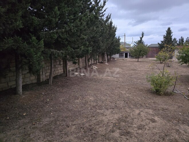 Satılır  torpaq 6 sot, Albalılıq q., photo 6 from 12