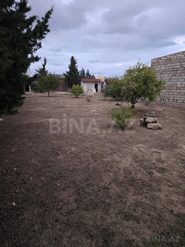 Satılır  torpaq 6 sot, Albalılıq q., photo 8 from 12