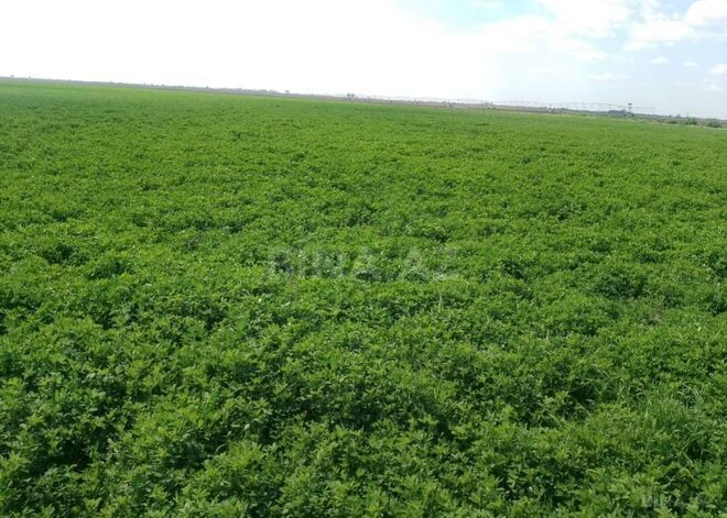 Продаётся  участок 31 000 сот, photo 3 from 27