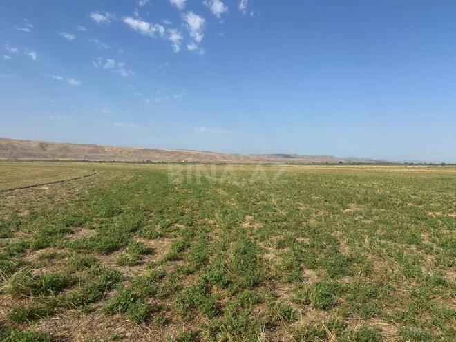 Продаётся  участок 31 000 сот, photo 5 from 27