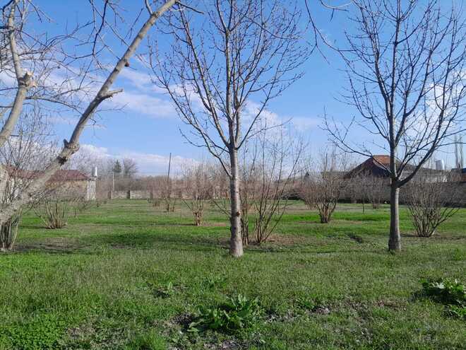 Продаётся  участок 33 сот, photo 10 from 12