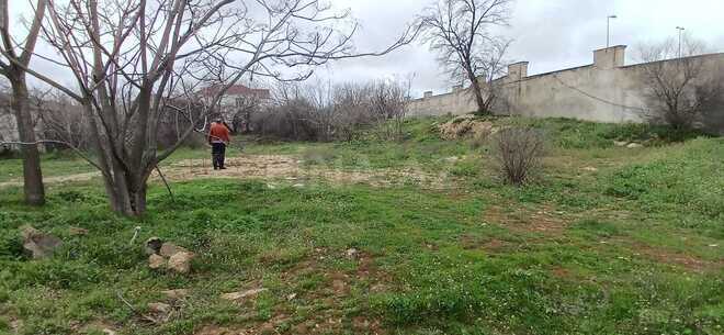 Satılır  torpaq 53.3 sot, Qala q., photo 4 from 5