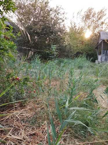 Satılır  torpaq 8 sot, photo 7 from 8