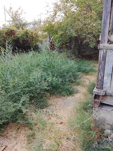 Satılır  torpaq 8 sot, photo 5 from 8