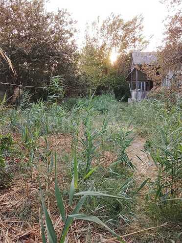 Satılır  torpaq 8 sot, photo 6 from 8