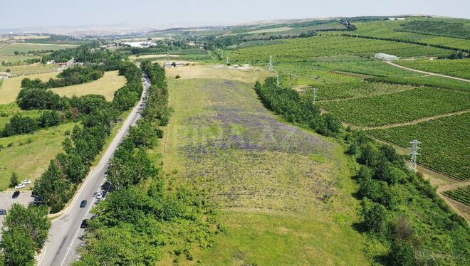 Продаётся  участок 320 сот, photo 1 from 8