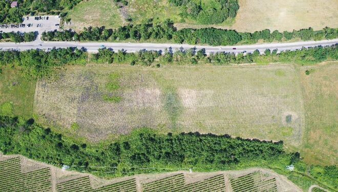 Продаётся  участок 320 сот, photo 7 from 8