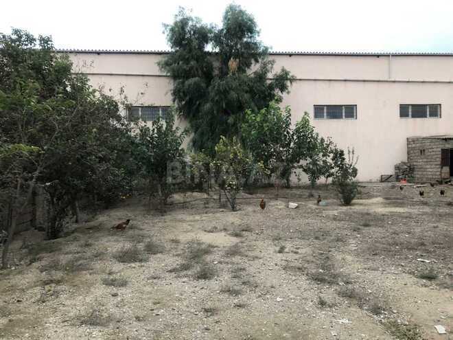 Продаётся  участок 10 сот, пос. Мамедли, photo 3 from 4