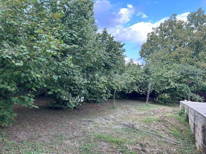 Satılır  torpaq 12 sot, photo 3 from 12