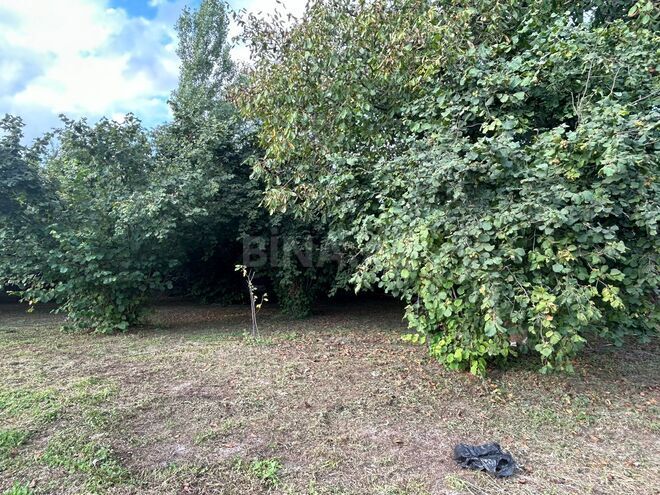 Satılır  torpaq 12 sot, photo 8 from 12