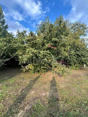 Satılır  torpaq 12 sot, photo 6 from 12