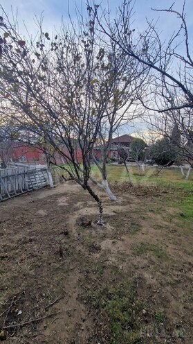 Satılır  torpaq 6 sot, Maştağa q., photo 11 from 12