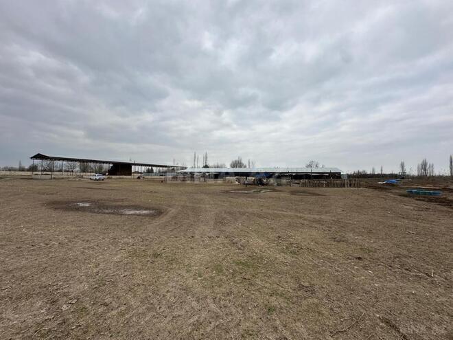 Satılır  obyekt 2 100 m², photo 20 from 32