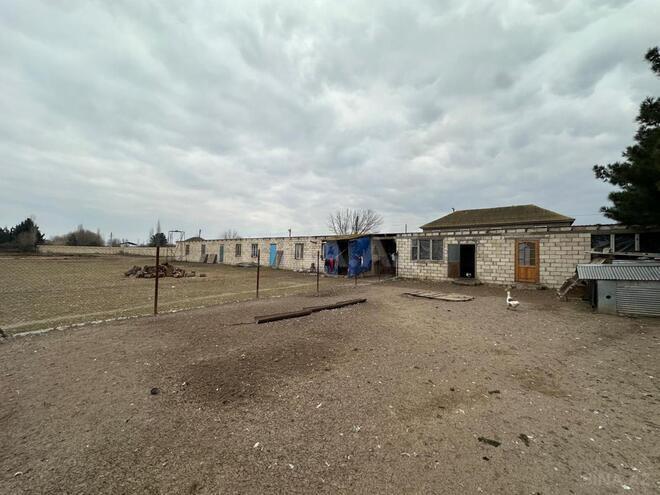 Satılır  obyekt 2 100 m², photo 26 from 32