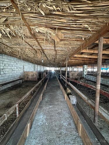 Satılır  obyekt 2 100 m², photo 28 from 32