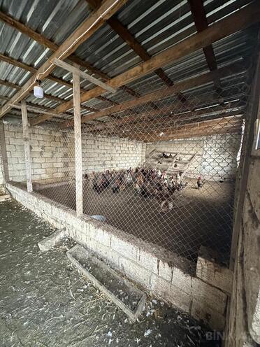 Satılır  obyekt 2 100 m², photo 29 from 32