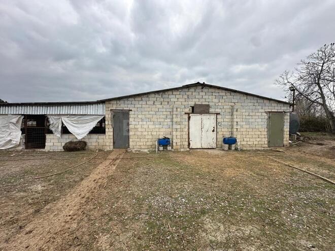 Satılır  obyekt 2 100 m², photo 23 from 32