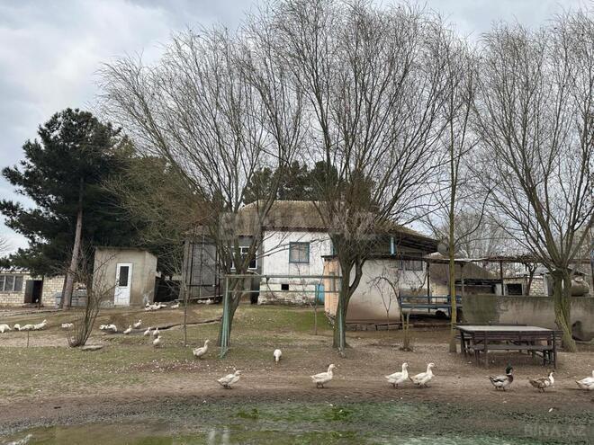 Satılır  obyekt 2 100 m², photo 17 from 32