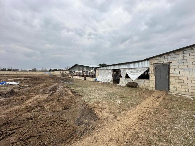 Satılır  obyekt 2 100 m², photo 21 from 32