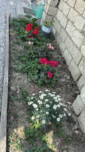 Продаётся 7-комн. дом/дача 192 м², пос. Джейранбатан, photo 23 from 26