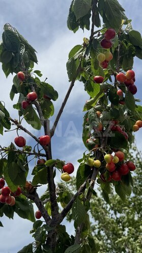 Продаётся 7-комн. дом/дача 192 м², пос. Джейранбатан, photo 25 from 26