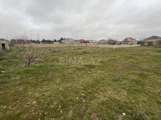 Продаётся  участок 46 сот, пос. Бина, photo 3 from 13