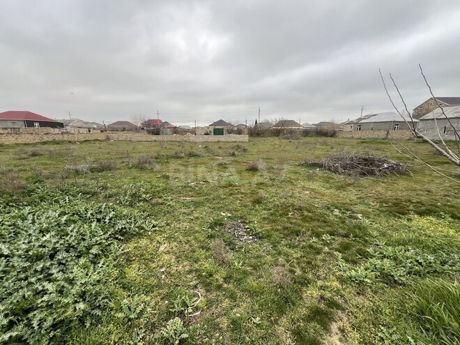 Продаётся  участок 46 сот, пос. Бина, photo 8 from 13