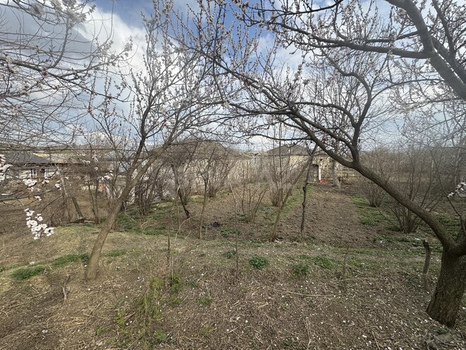 Продаётся 3-комн. дом/дача 60 м², photo 4 from 28