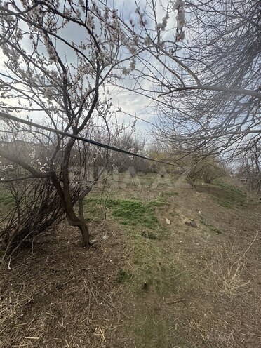 Продаётся 3-комн. дом/дача 60 м², photo 9 from 28