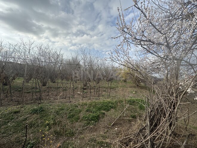 Продаётся 3-комн. дом/дача 60 м², photo 5 from 28