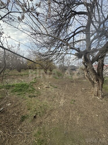 Продаётся 3-комн. дом/дача 60 м², photo 8 from 28