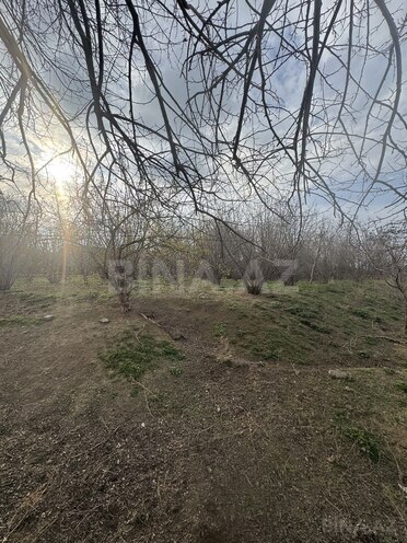 Продаётся 3-комн. дом/дача 60 м², photo 11 from 28