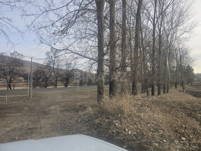 Satılır  torpaq 12 sot, Gədəbəy r., photo 5 from 11