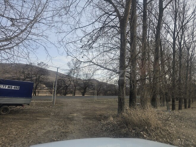 Satılır  torpaq 12 sot, Gədəbəy r., photo 6 from 11