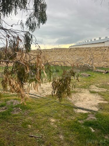 Satılır 7 otaqlı həyət evi/bağ evi 190 m², Türkan q., photo 12 from 15