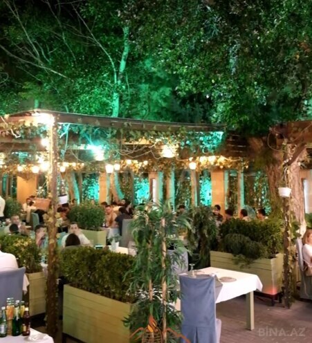 Сдаётся  объект 16 000 м², м. Гянджлик, photo 3 from 18