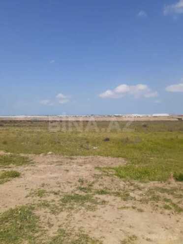 Продаётся  участок 109 сот, пос. Мамедли, photo 4 from 5